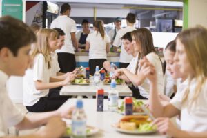 systém školního stravování